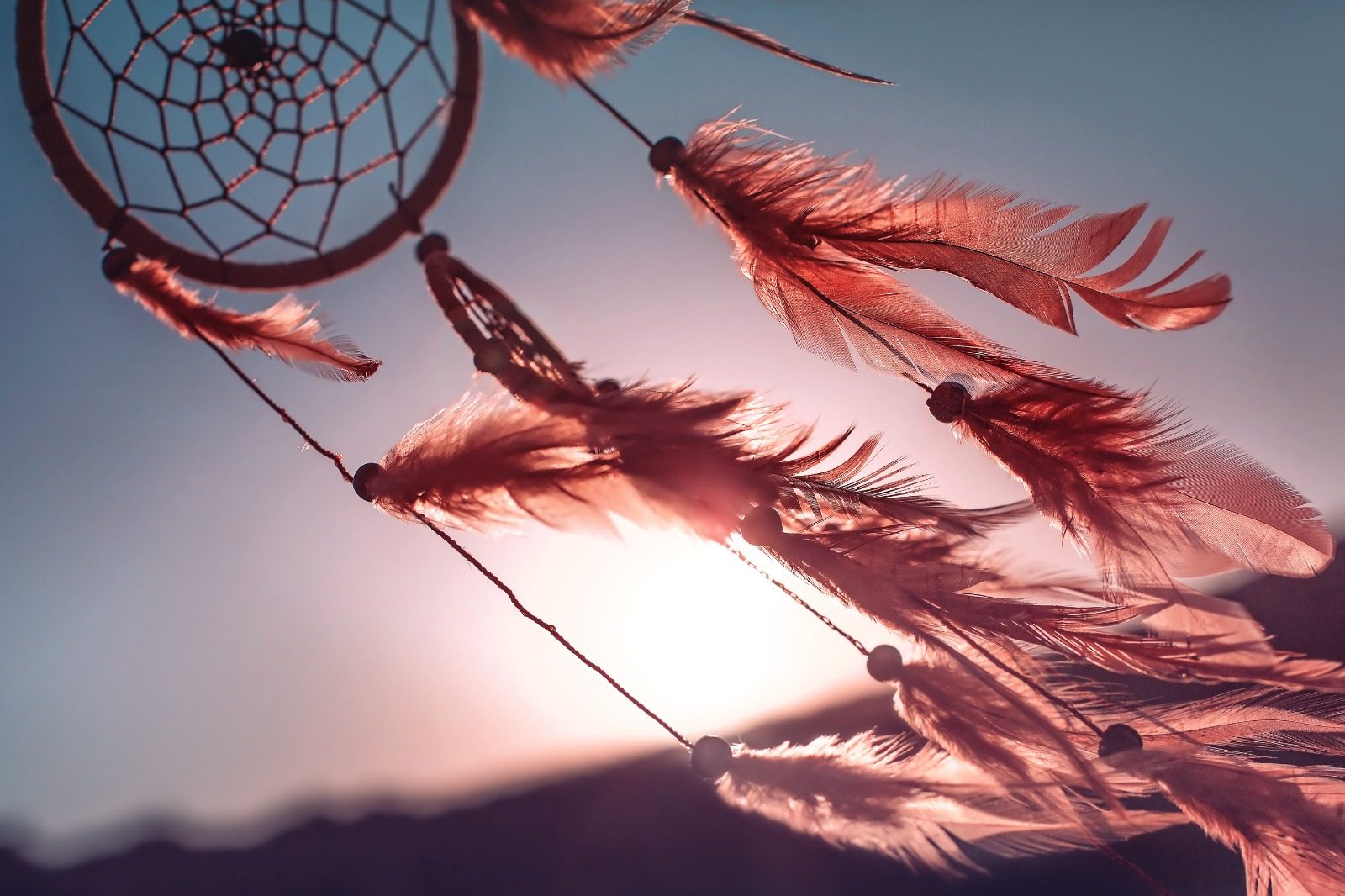 A close up of some feathers hanging from a dream catcher