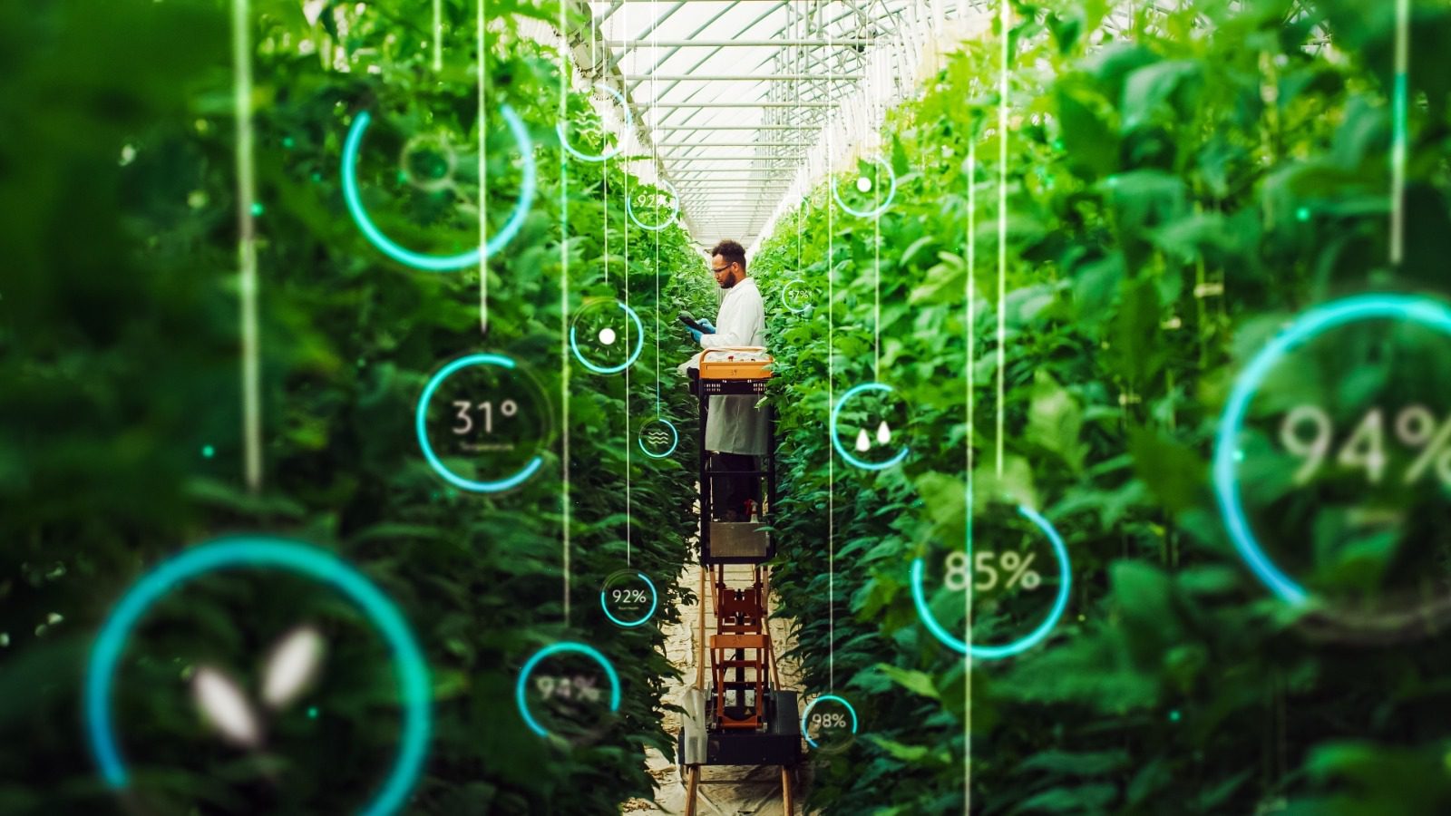 A man standing in front of a plant.