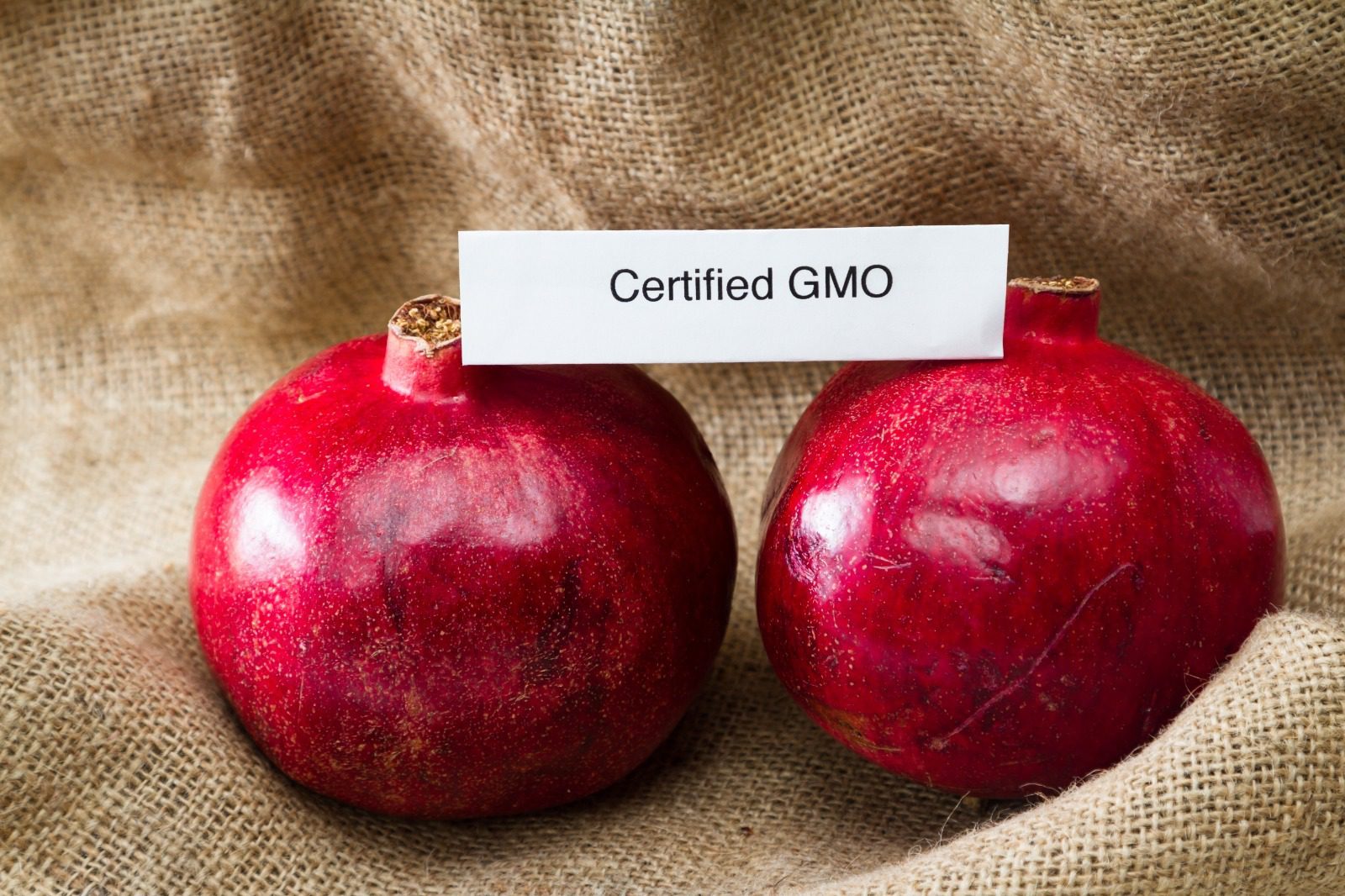 Two red pomegranates with a label on them.